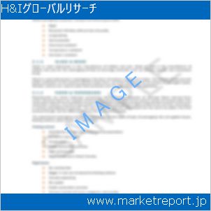 市場と産業調査レポートのイメージ